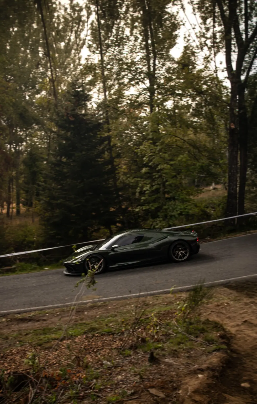 Coupé classica scura percorre la Strada Borromea